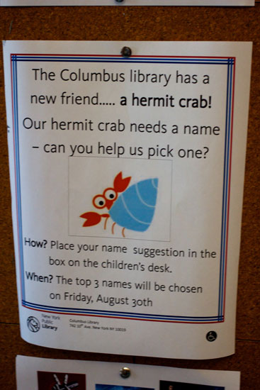 A flyer for the name-the-hermit-crab contest at the Columbus library