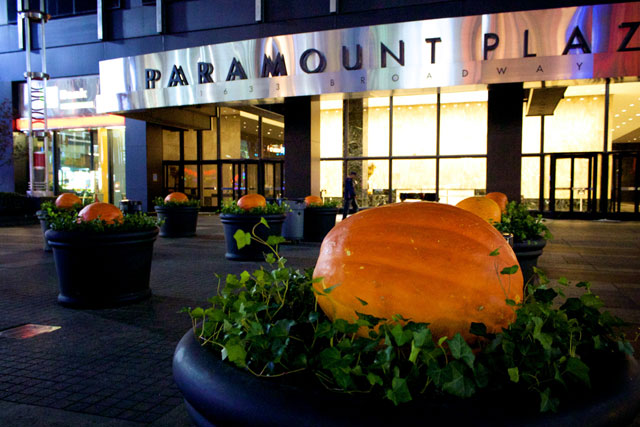 Pumpkins in the planters outside Paramount Plaza