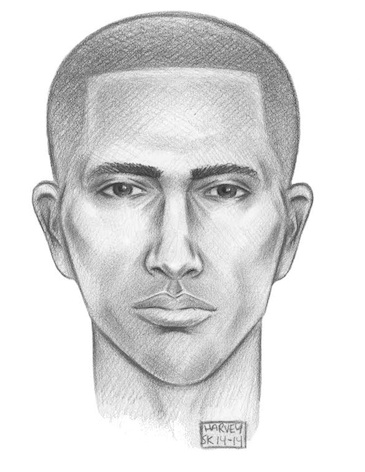 A sketch of the alleged attacker