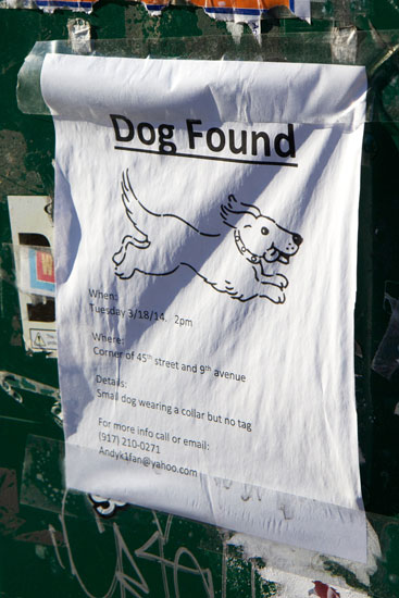 A flyer for a found dog