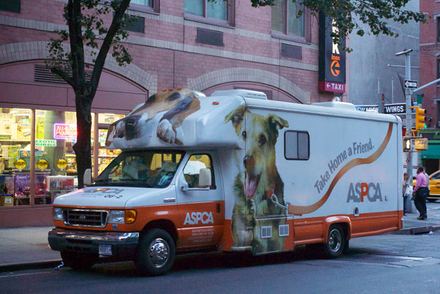 The ASPCA pet adoption van